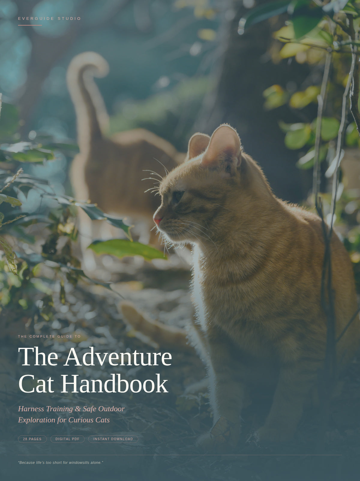 The Adventure Cat Handbook
