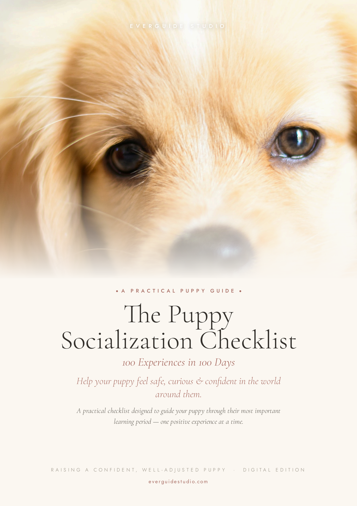 The Puppy Socialization Checklist