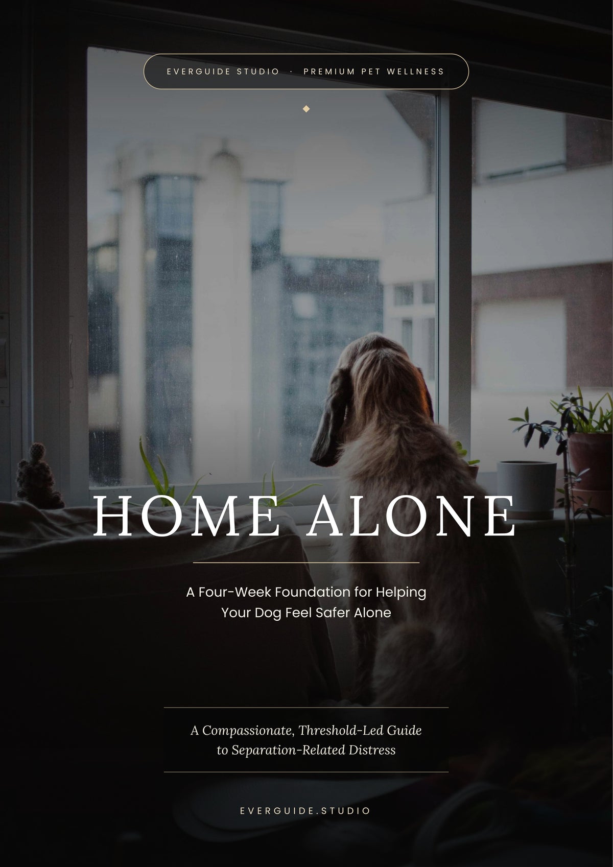 Home Alone