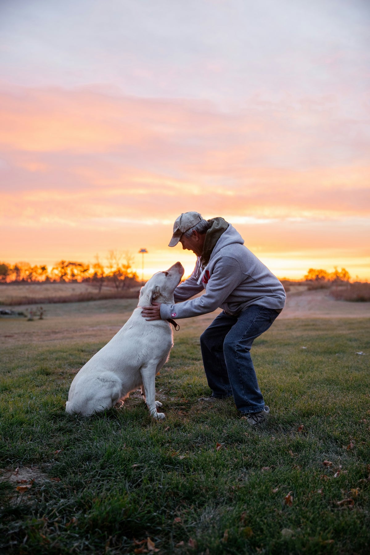 Man and dog standing together in a field at sunset
