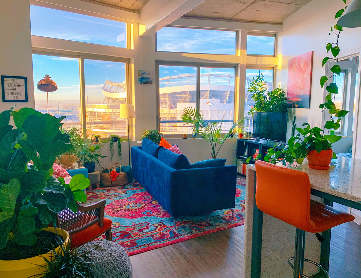 Modern living room with large windows, blue sofa, and colorful decor