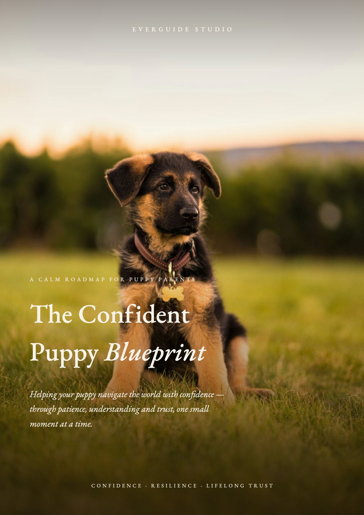 The Confident Puppy Blueprint