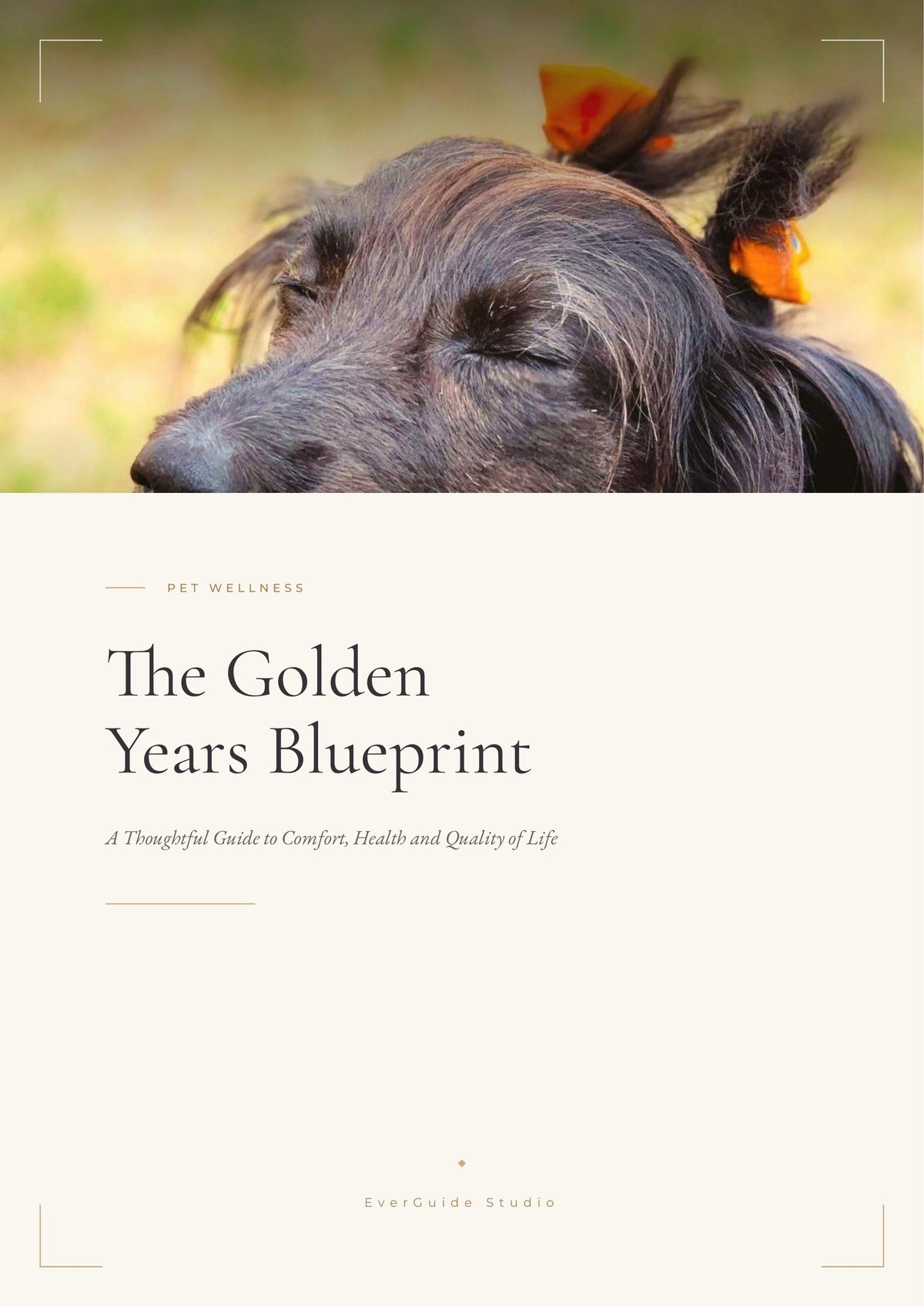 The Golden Years Blueprint