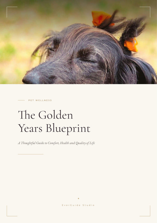 The Golden Years Blueprint