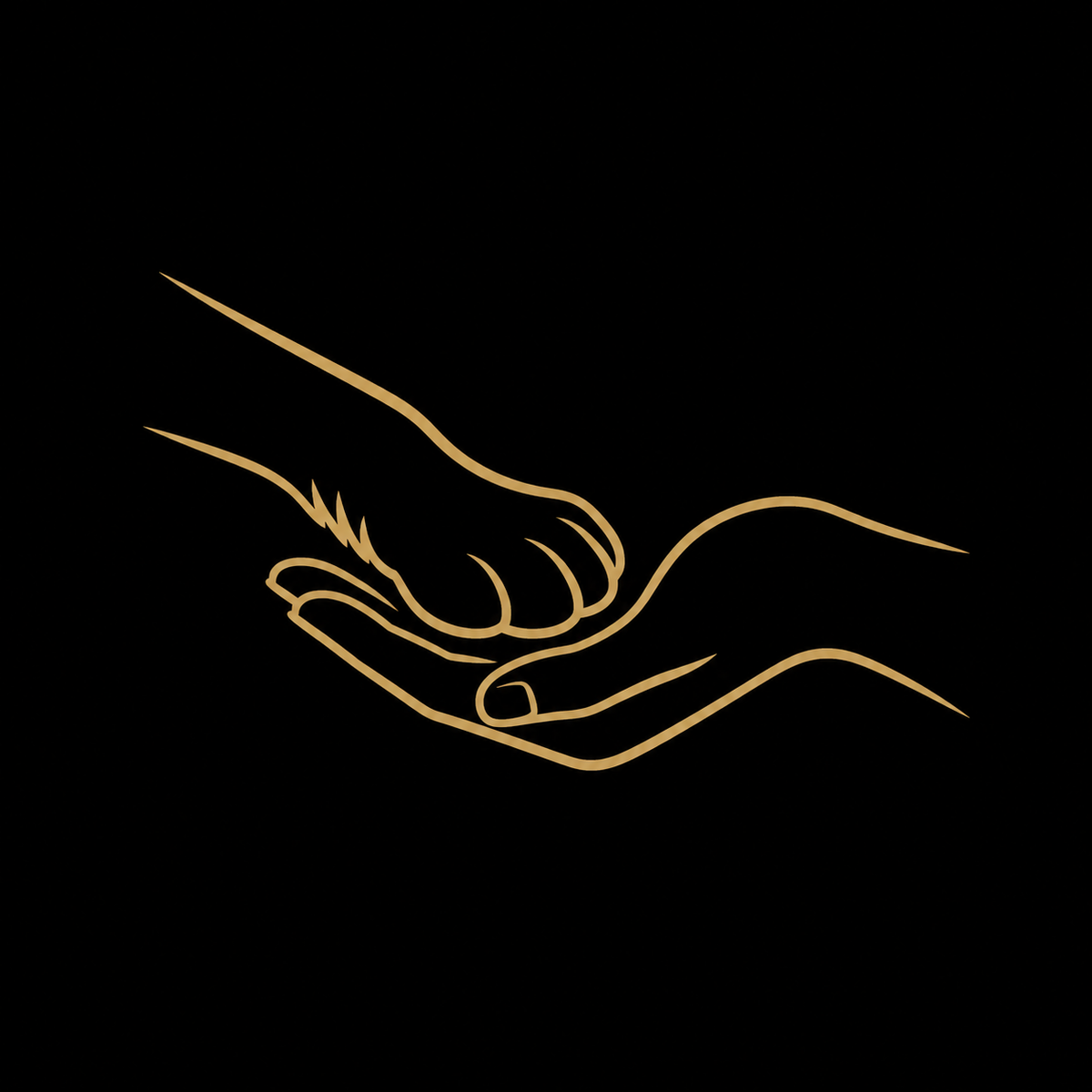 A minimalist gold line art illustration of a hand holding the dog paw, centered on a solid black background.