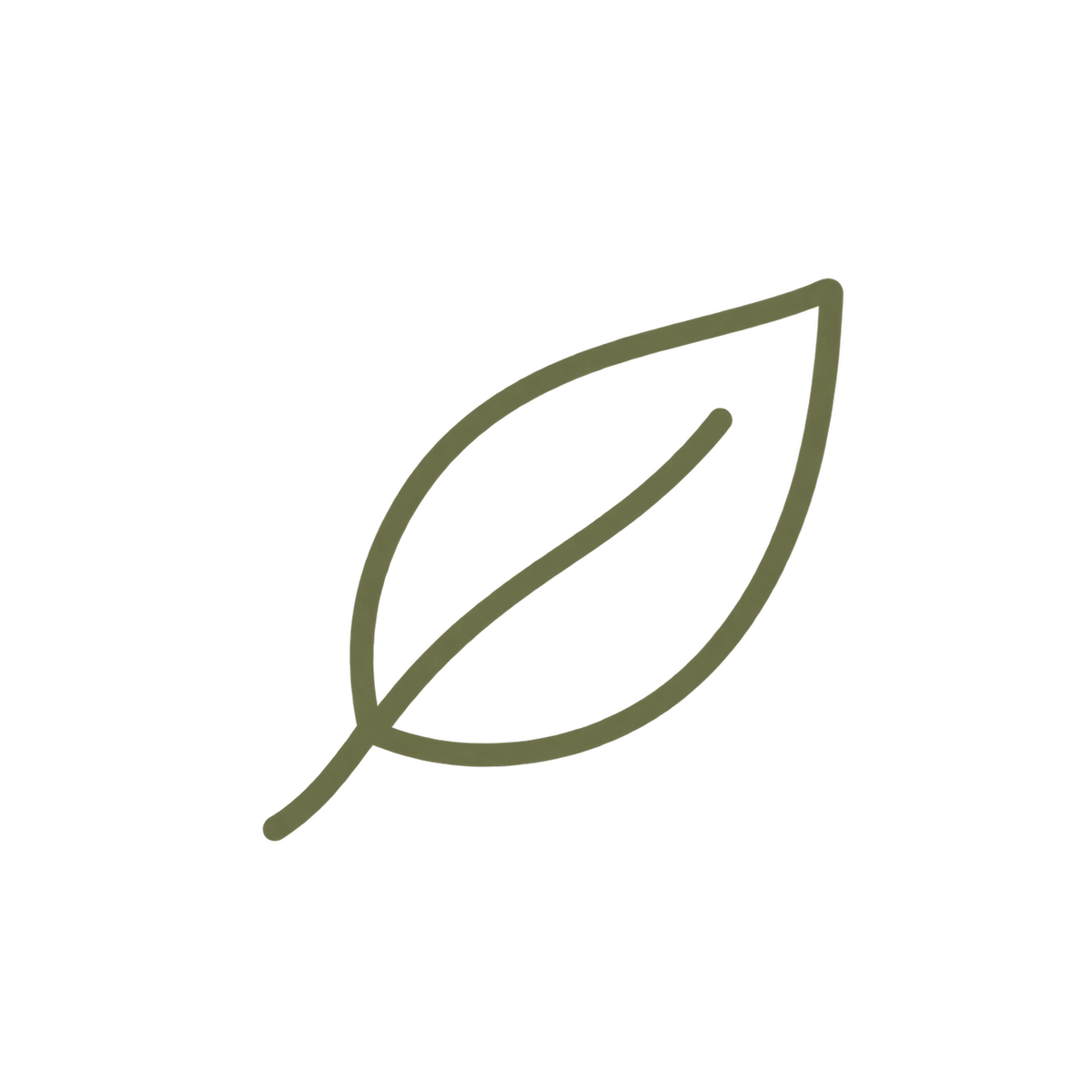 A minimalist olive green line icon of a single leaf on a solid white background.